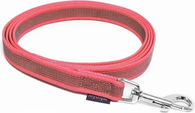 Produktbild von Mystique® Gummierte Leine 20mm ohne Handschlaufe Standard Karabiner neon pink 2m