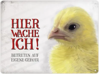 Produktbild von Betreten auf eigene Gefahr - Hier wache ich! Metallschild XXL mit Küken Motiv