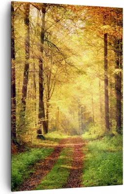 Produktbild von Bild auf Leinwand - Leinwandbild - Einteilig - Wald Baum Natur - 80x120cm - Wand Bild - Wanddeko - Wandbilder - Leinwanddruck - Kunstdruck - Wanddekoration - Leinwand bilder - Wandbild - PA80x120-3718