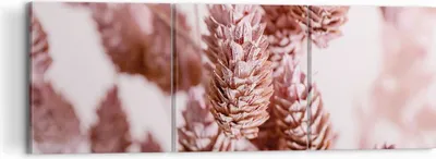 Produktbild von Bild auf Leinwand - Leinwandbild - 3 Teile - Getrocknet Blume Eco - 120x40cm - Wand Bild - Wanddeko - Wandbilder - Leinwanddruck - Bilder - Wanddekoration - Leinwand bilder - Wandbild - CA120x40-4912
