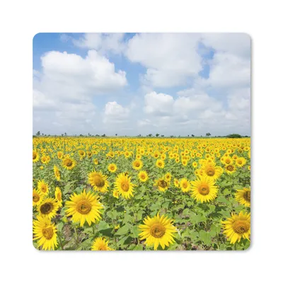 Produktbild von MuchoWow® Mauspad Mousepad Sonnenblumen - Blumen - Wolken - Natur - Gelb - Landschaft 20x20 cm - Mousepads - Maus Mat - Pad - Mausunterlage - Desk Mat - Bureauartikeln