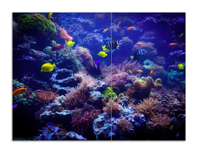 Produktbild von Wallario Herdabdeckplatte aus Glas, Größe 70 x 52 cm 2-teilig, Motiv Farbenwelt unter Wasser