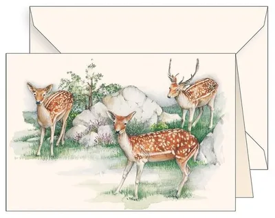 Image de Carnet B6 + enveloppe 6106 Jelonki