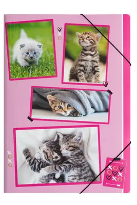 Produktbild von Pagna Gummizugmappe A3 PP xoxo Cats 3 Einschlagklappen