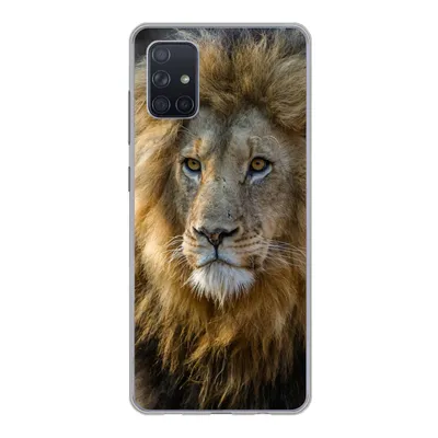 Produktbild von MuchoWow® Handyhülle Schutzhülle Hülle für Samsung Galaxy A71 Löwe - Porträt - Wild Silikon Softcase Handy Hülle - Kartenbesitzer