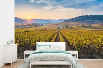 Produktbild von MuchoWow® Fototapete für Wohnzimmer oder Schlafzimmer Wandtapete Vinyl Motivtapete Weinberge in Burgund in Frankreich - 330x220 cm - Fototapeten