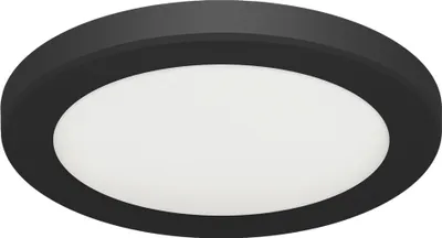 Obrázek produktu pro LED stropní svítidlo D: 16,7 cm kulaté Černá Bílá Změna barvy 4600 K 1490 lm Stropní svítidlo