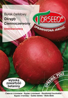 Produktbild von Rote Bete Samen Rund dunkelrot 15g - Torseed