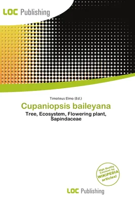Produktbild von Cupaniopsis baileyana Baumart – Pionierart, heimisch in Ostaustralien