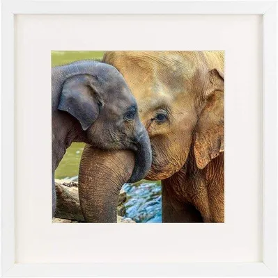 Image de Cadre photo carré blanc avec passe-partout - 28 x 28 cm - pour les œuvres d'art et les souvenirs