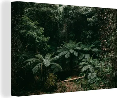 Produktbild von OneMillionCanvasses® - Leinwandbilder - 140x90 cm, Farne im japanischen Regenwald, Wandbilder Kunstdruck Wanddekoration