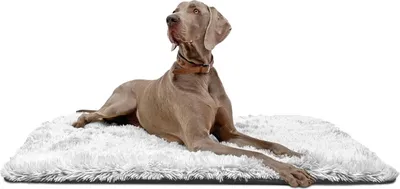 Productafbeelding van tierlando® Hondenligbed SHARY, heerlijk zacht, pluizig, langharig - Afmetingen: 100x70cm | Kleur: 20 Witgrijs