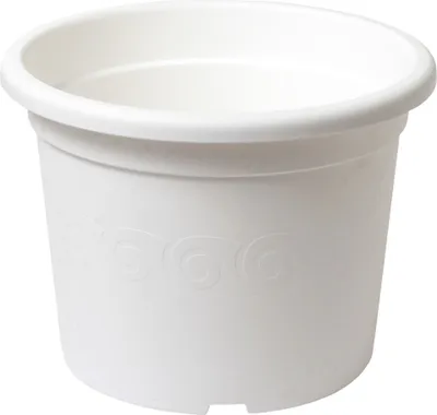 Obrázok produktu pre Plastia obal Narcis - biely 19 cm