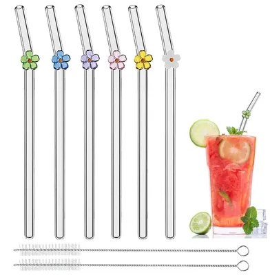 Zdjęcie produktu dla Zestaw 6 wielokrotnego użytku, przezroczystych słomek szklanych o długości 20 cm i średnicy 8 mm, oraz 2 szczotki do czyszczenia