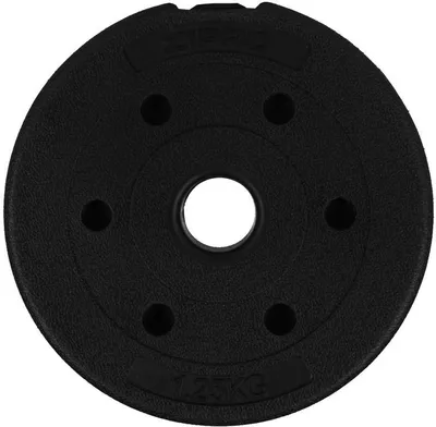 Produktbild von ZIPRO Hantelscheibe 1,25 kg Bitumen 31 mm - Hantelgewichte Fitness Krafttraining Kurzhantel Langhantel Bodenschonend leise Gewichte 30 mm Hanteln