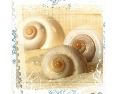Produktbild von Glasbild Out Of The Sea II 20x20 cm