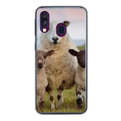 Produktbild von MuchoWow® Handyhülle Schutzhülle Hülle für Samsung Galaxy A40 Schafe - Natur - Schwarz - Weiß Silikon Softcase Handy Hülle - Handy-Tasche