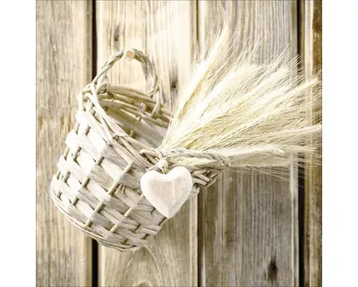 Produktbild von Glasbild Vintage Dried Fiber 20x20 cm