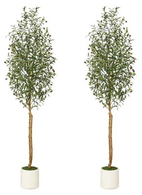 Zdjęcie produktu dla Zestaw 2 szt. - Sztuczne Drzewko Oliwne 210 cm – Realistyczna Roślina Doniczkowa do Domu, Biura i na Taras, Bez Pielęgnacji