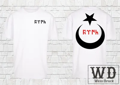 Produktbild von Wessdruck Oversize T-Shirt Turk Ay Yildiz Weiß Schwarz S