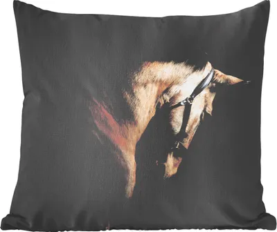 Produktbild von MuchoWow® Zierkissen Sofakissen Wohnzimmer Dekokissen 60x60 cm Pferde - Halfter - Schwarz - Sitzfläche - Foto Polster