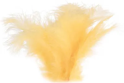 Produktbild von 15-20 Flaumfedern 09-17cm gefärbt Bastelfedern Schmuckfedern Feder Farbwahl, Größe:09 - 17 cm, Farbe:36 lachs hell