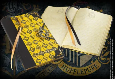 Obrázek produktu pro Harry Potter: Zápisník - Mrzimor