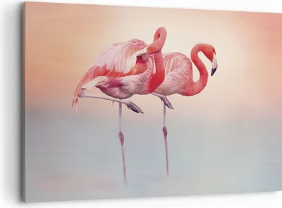 Produktbild von Bild auf Leinwand - Leinwandbild - Einteilig - Flamingos Exotik Vögel - 120x80cm - Wand Bild - Wanddeko - Wandbilder - Leinwanddruck - Bilder - Wanddekoration - Leinwand bilder - AA120x80-5044