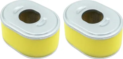 Two identical air filters are shown side-by-side against a white background.