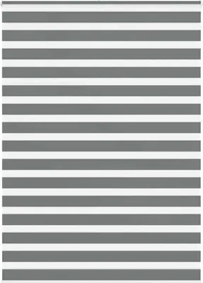 Obrázek produktu pro Maison Exclusive – dvojitá roleta, tmavě šedá, 165 × 230 cm, šířka látky 160,9 cm, polyester