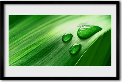 Produktbild von Bild 60x40 MDF-Rahmen Wandkunst Blatt Wassertropfen