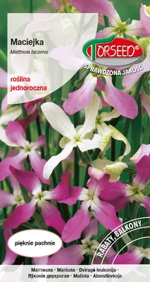 Produktbild von Samen von Maciejka rosa 3g - Torseed
