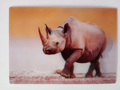 Produktbild von 3 D Ansichtskarte Nashorn, Postkarte Wackelkarte Hologrammkarte, Tiere Zootier Wildtier Spitzmaulnashorn