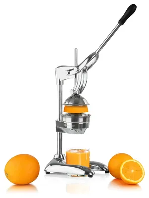 Immagine prodotto di Spremiagrumi in acciaio inox per arance e limoni
