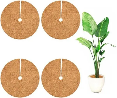 Produktbild von Kokos-Mulch-Schutz für Pflanzen, 30cm, 4er-Pack, Winterbeschermung
