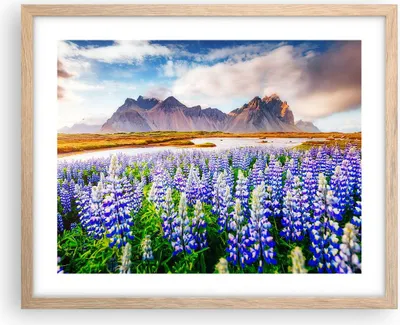 Produktbild von Gerahmtes Poster - Rahmen in heller Eiche - Berge Wiese Blumen - 50x40 cm - Wand Bild - Wanddeko - Wandbilder - Wandposter - Bilderrahmen - Bilder - Kunstdruck - Wandbild - P2NAA50x40-4114