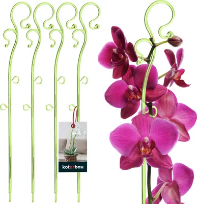 Produktbild von KOTARBAU® 4er Set Pflanzenstütze Grün PVC 39 cm Blumenstütze Rankhilfe Zimmerpflanzen Blumenstütze Garten Orchideenstab Stützstab Pflanzen dekorative Pflanzenhalter Zimmerpflanzen Rankstäbe
