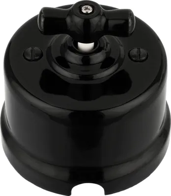 Produktbild von Aufputz Porzellan Retro Rotary Schalter I QR1 schwarz