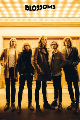 Produktbild von Empireposter 753472, 1 Stück(e), Musik, Blossoms, Band, Rechteck, Junge/Mädchen