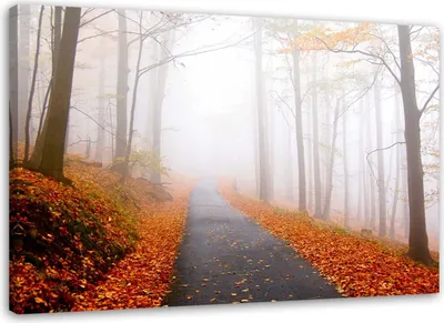 Produktbild von Leinwandbild goldener herbst im park 90x60 cm Feeby orange wandbild bereit zum aufhängen