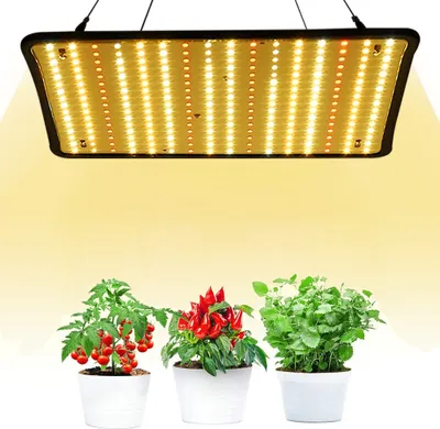 A grow light illuminates three potted plants: a tomato plant with red fruit, a chili pepper plant with red peppers, and a leafy green herb.