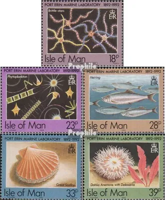 Produktbild von Briefmarken GB - Isle of Man 1992 Mi 507-511 (kompl.Ausg.) postfrisch Meeresbiologie