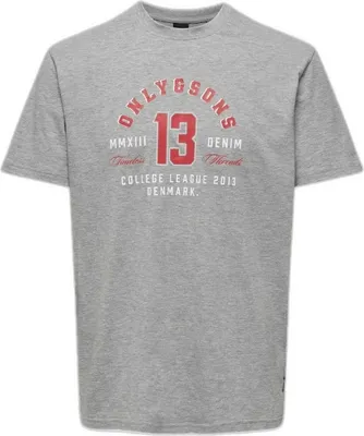 Produktbild von T-Shirt Only & Sons 22028593-LIGHTGREY für Herren