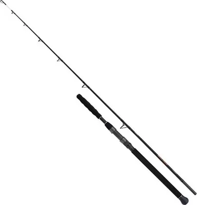 Produktbild von Shimano Fishing Beastmaster Ax Static Welsrute  2.80 m / 350 g  2.80 m