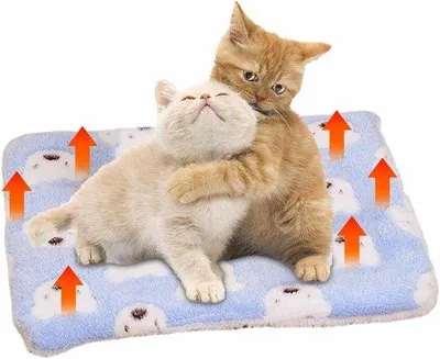 Image de Tapis chauffant pour chats, confortable et apaisant, 60 x 50 cm, tapis en flanelle pour petits chiens et chats