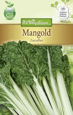 Produktbild von Mangold Lucullus | Mangoldsamen von N.L. Chrestensen