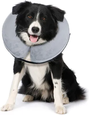 Produktbild von Bencmate Aufblasbare Halskrause für Hunde & Katzen, Hundekragen Leckschutz Hund für Genesung nach
