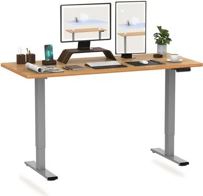 Produktbild von FLEXISPOT Schreibtisch EB2-SET, Höhenverstellbarer Schreibtisch, Dual-Motor & 2-FACH-TELESKOP
