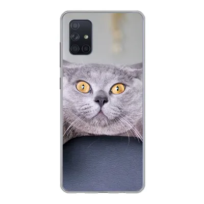 Produktbild von MuchoWow® Handyhülle Schutzhülle Hülle für Samsung Galaxy A71 Katze - Angst - Stuhl Silikon Softcase Handy Hülle - Kartenbesitzer