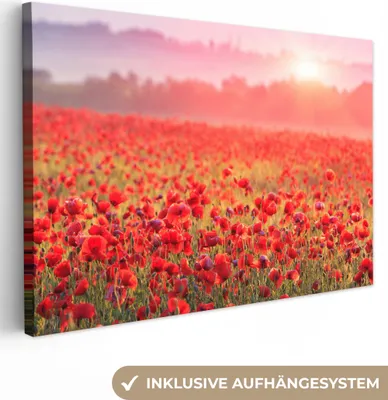 Produktbild von MuchoWow® - Leinwandbilder - Blumen - Mohn - Rot - Blumenfeld, Wandbild, Wanddeko Bilder Wohnzimmer, 60x40 cm